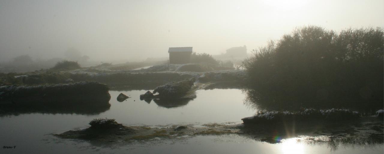 marais - locations capausoleil